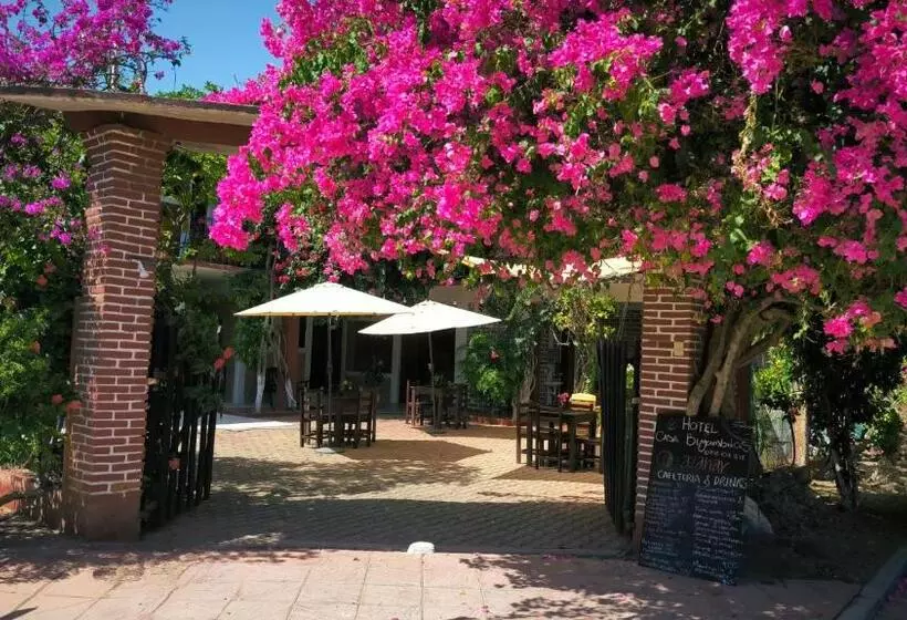 ユースホステル Casa Bugambilias