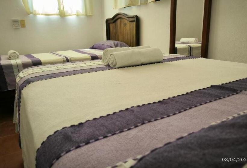 ユースホステル Casa Bugambilias