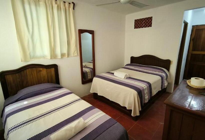 ユースホステル Casa Bugambilias