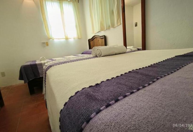 ユースホステル Casa Bugambilias