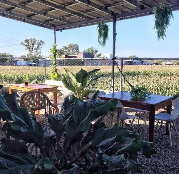 ユースホステル Ina Rose Apartment And Transient