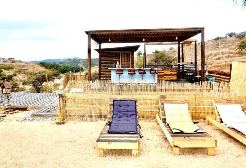 Капсульный Oтель Boutique Casa Domo