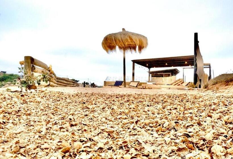 Капсульный Oтель Boutique Casa Domo