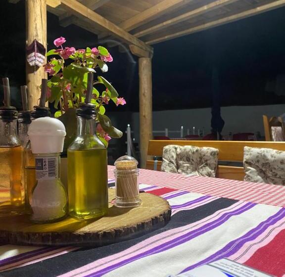 هاستل Guest House Bozvill