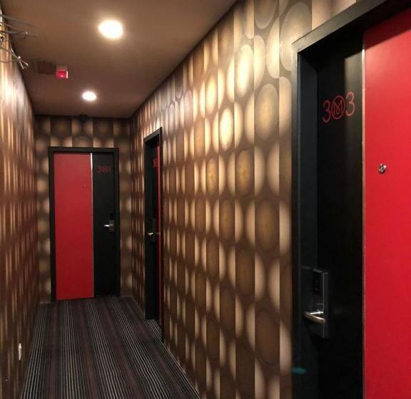 הוסטל M Boutique Inn