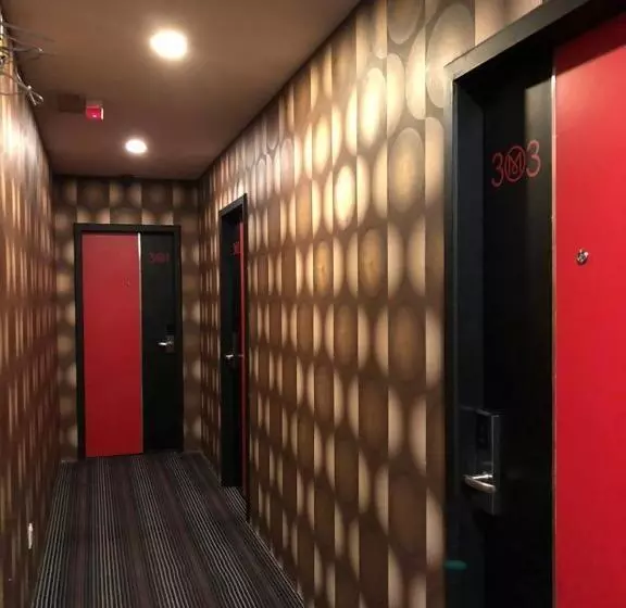 هاستل M Boutique Inn
