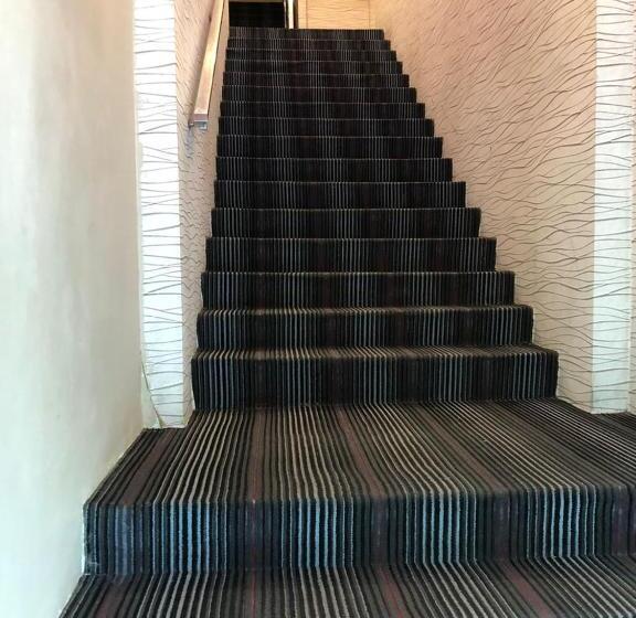 הוסטל M Boutique Inn