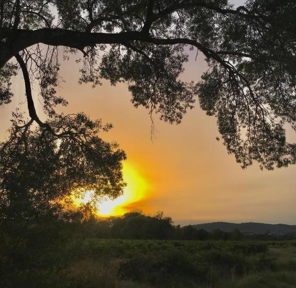 住宿加早餐  La Dame Jeanne