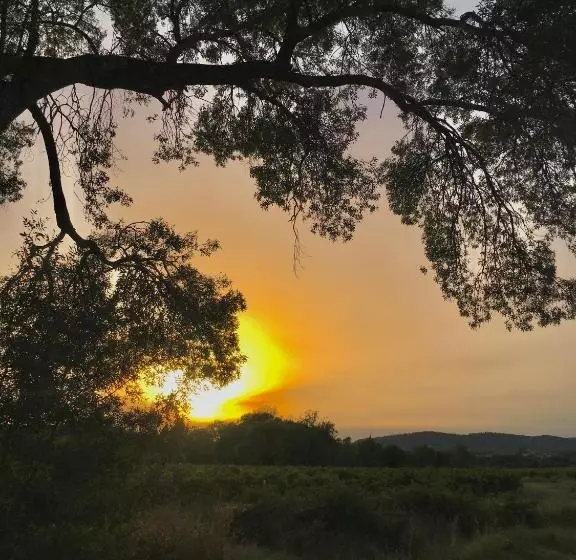 Aamiaismajoitus (B&B) La Dame Jeanne