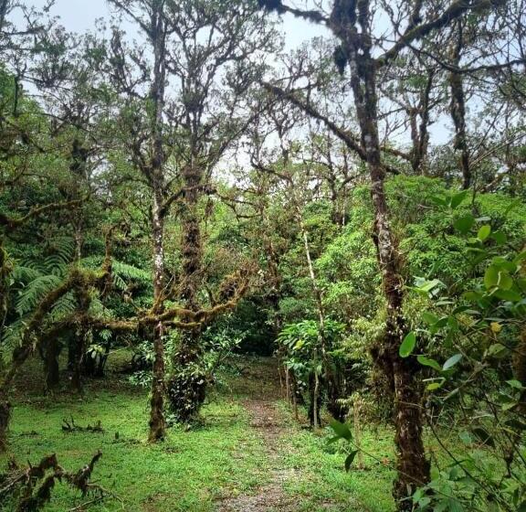 מלון כמוסות Refugio La Paz Ecoglamping