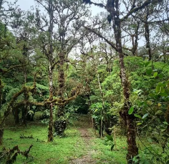 Kapselihotelli Refugio La Paz Ecoglamping