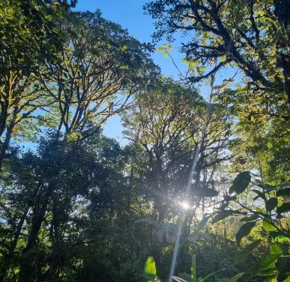 Kapselihotelli Refugio La Paz Ecoglamping