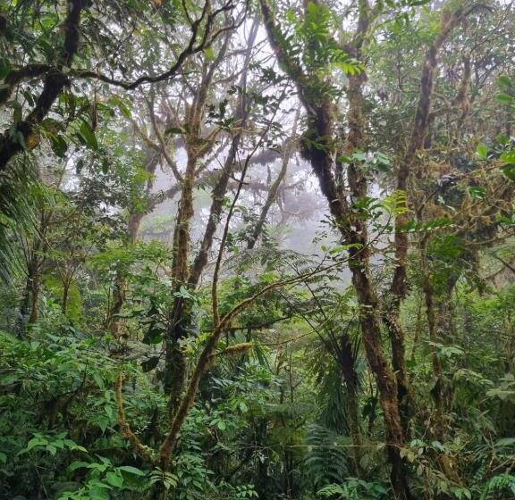 מלון כמוסות Refugio La Paz Ecoglamping