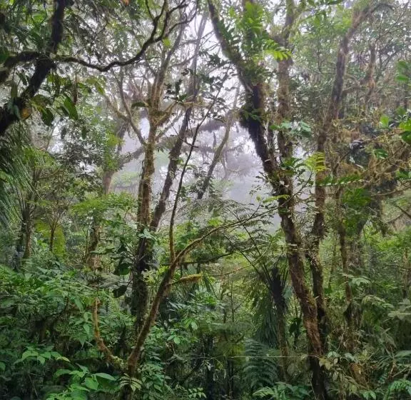 Kapselihotelli Refugio La Paz Ecoglamping