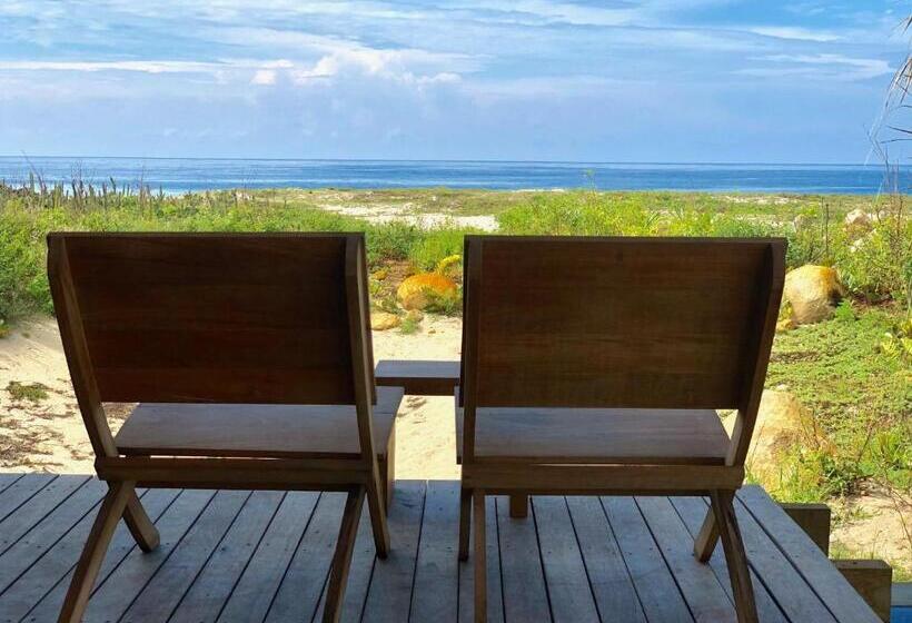 Отель Punta Pajaros