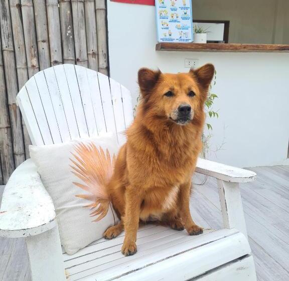 Pensione 148 Guesthouse And Resort