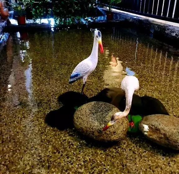 ペンション Rumah Tamu Tepi Pantai