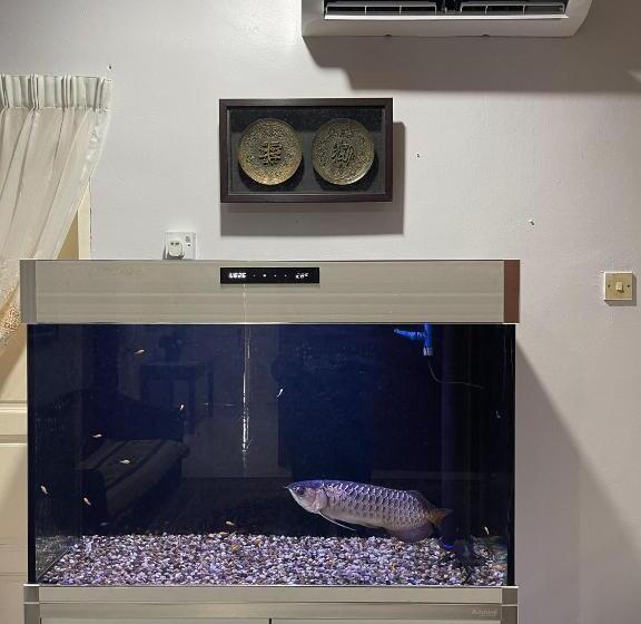 פנסיון Venice Raudhah Guest House