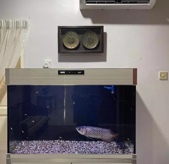 ペンション Venice Raudhah Guest House