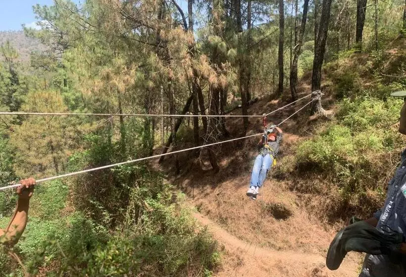 ホテル Pine Trails Jungle Camp