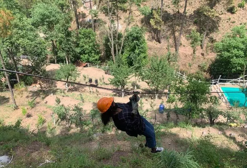 ホテル Pine Trails Jungle Camp