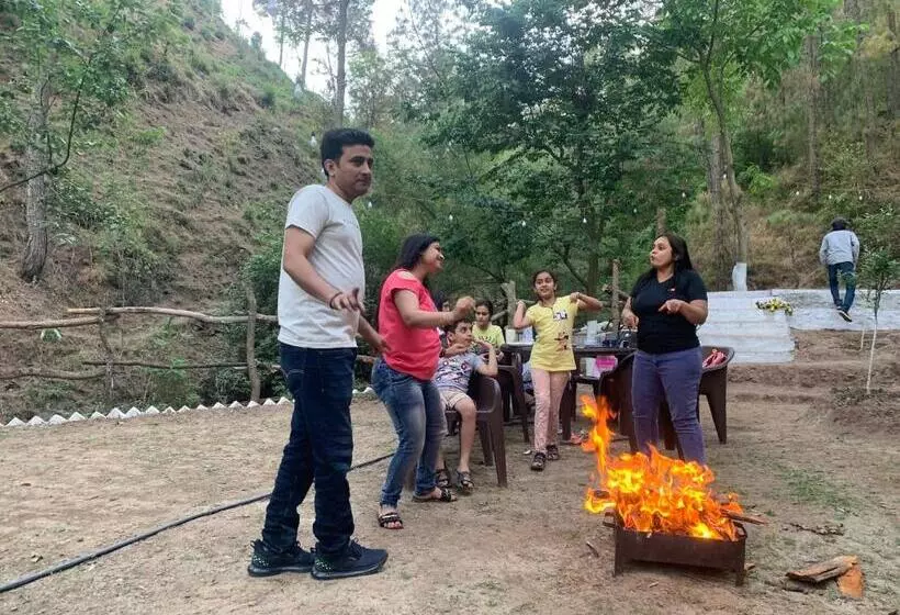 ホテル Pine Trails Jungle Camp