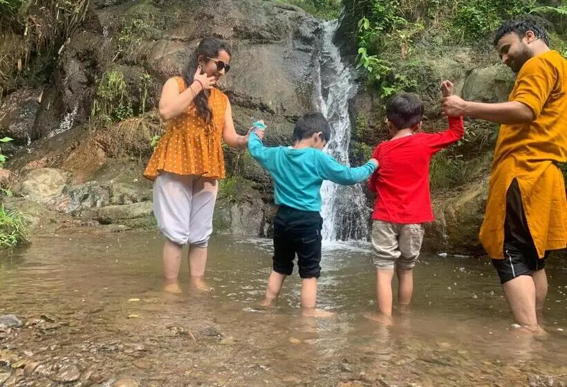 ホテル Pine Trails Jungle Camp