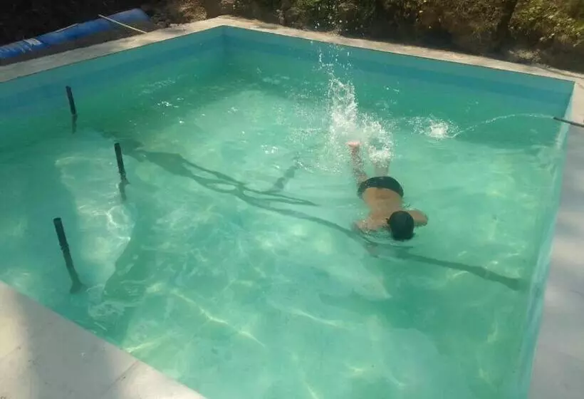 ホテル Pine Trails Jungle Camp