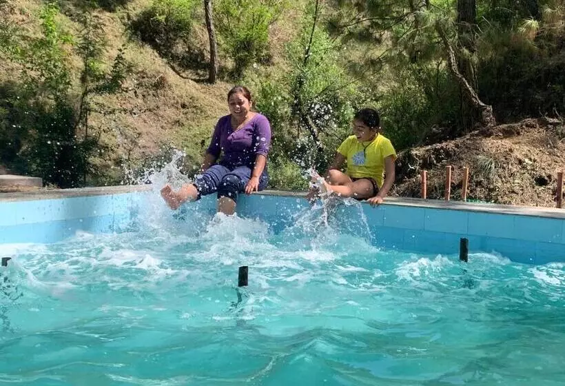 ホテル Pine Trails Jungle Camp