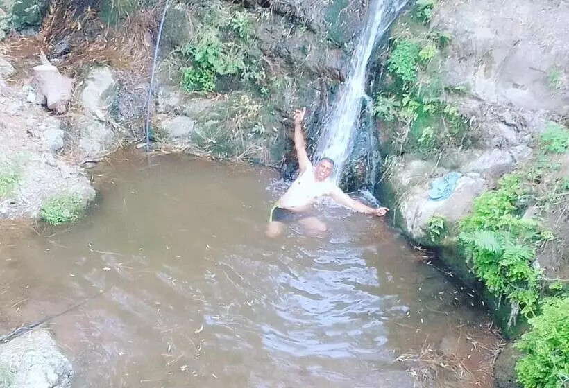 ホテル Pine Trails Jungle Camp