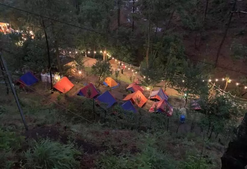 ホテル Pine Trails Jungle Camp