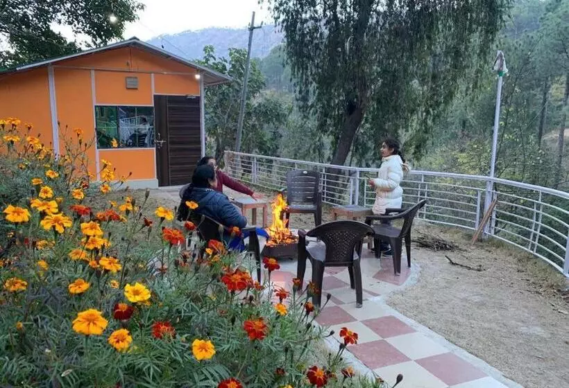 ホテル Pine Trails Jungle Camp