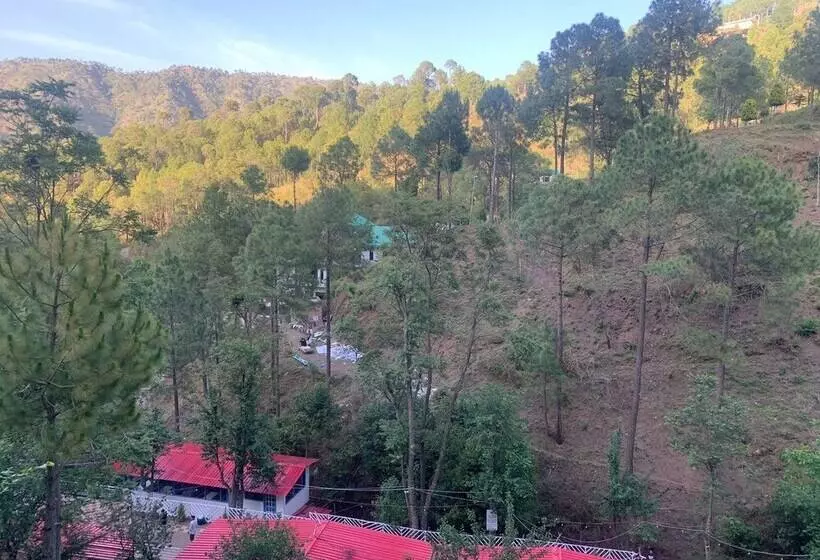 ホテル Pine Trails Jungle Camp