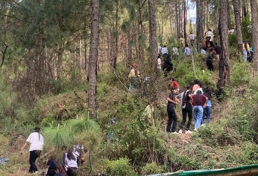 ホテル Pine Trails Jungle Camp