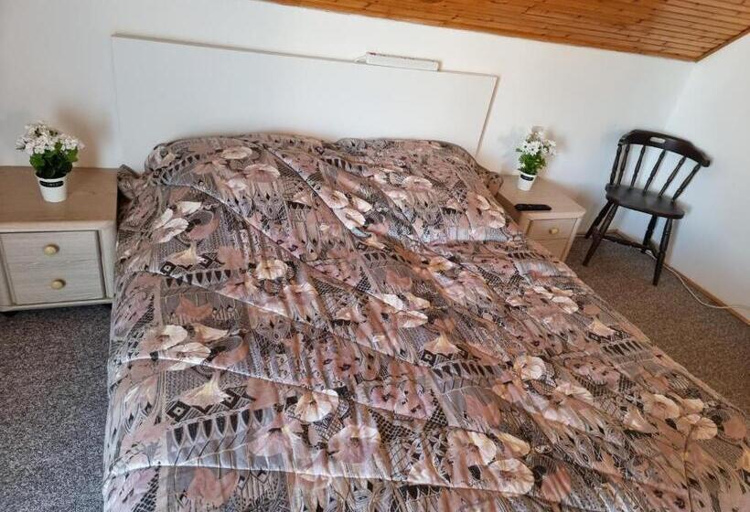 Пансион Apartment