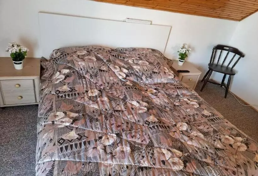ペンション Apartment