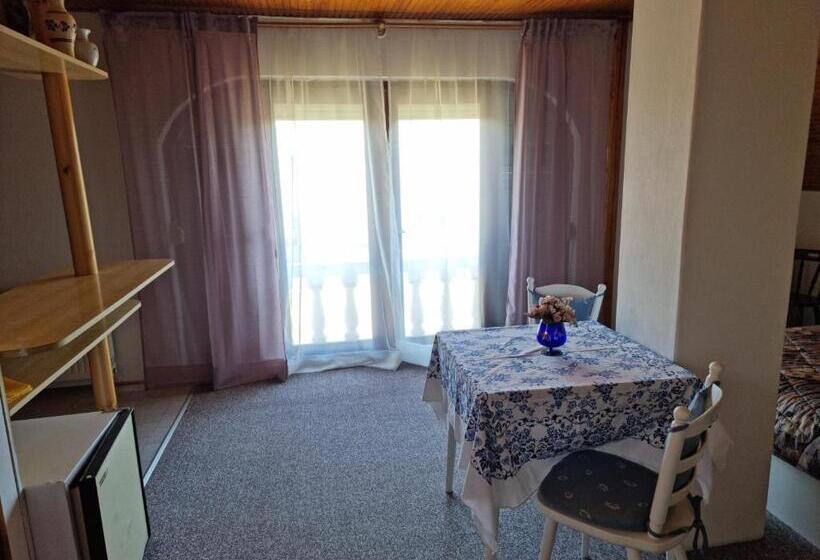 Пансион Apartment