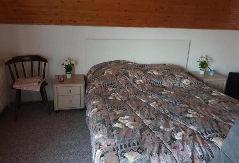 Пансион Apartment