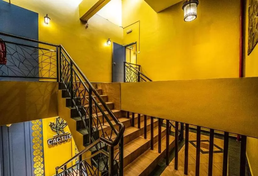 The Colony By Cactus Hotel Dedap