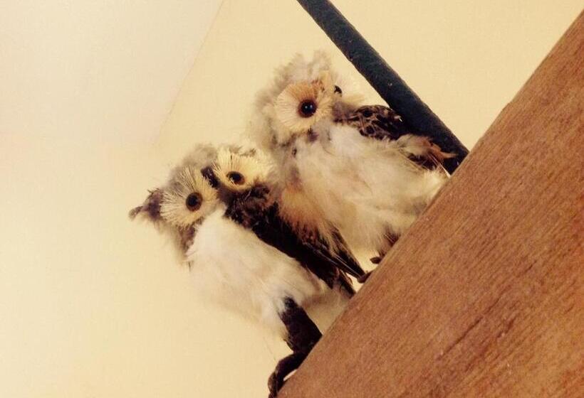 ベッドアンドブレックファースト Slapton Manor