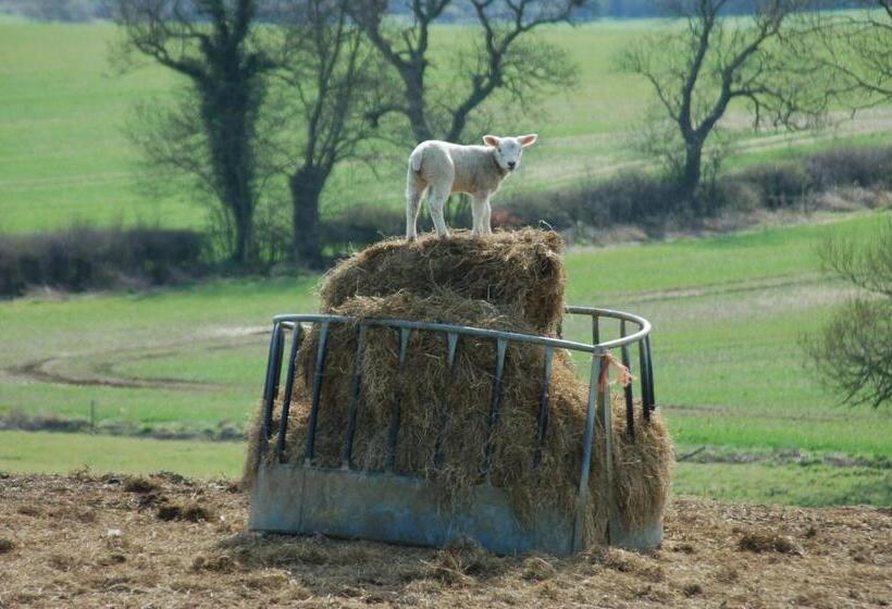 ベッドアンドブレックファースト Slapton Manor