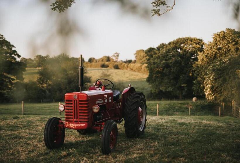 ベッドアンドブレックファースト Slapton Manor