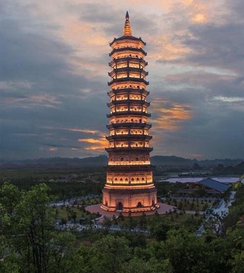 호텔 Wild Flower Homestay