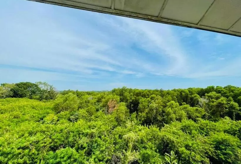 Pd Laguna Resort Holiday