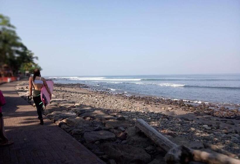 膳宿费 Harris Surf Villa