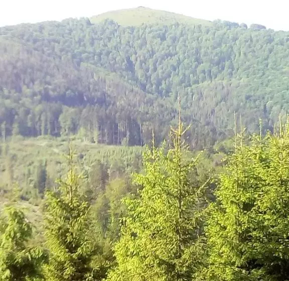 Majatalo Sadyba U Vani