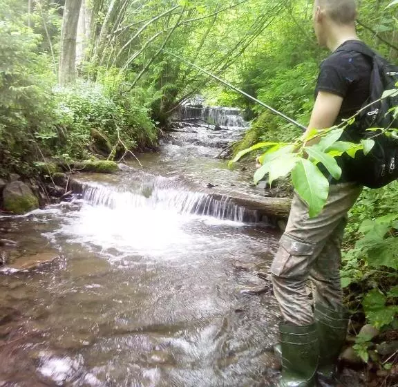 Majatalo Sadyba U Vani