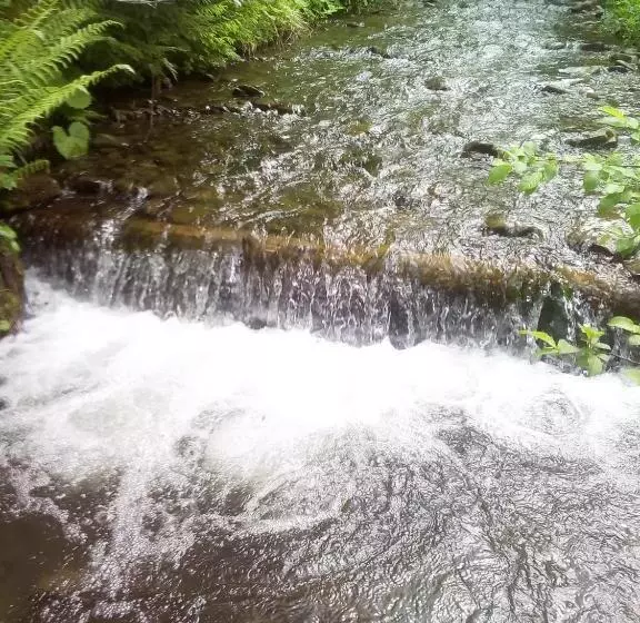 Majatalo Sadyba U Vani