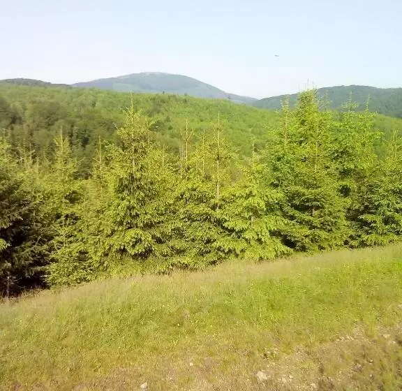 Majatalo Sadyba U Vani