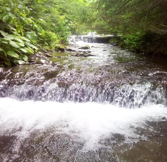 بنسيون Sadyba U Vani